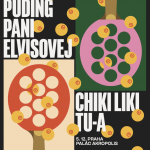 PPE x CHIKI 2024